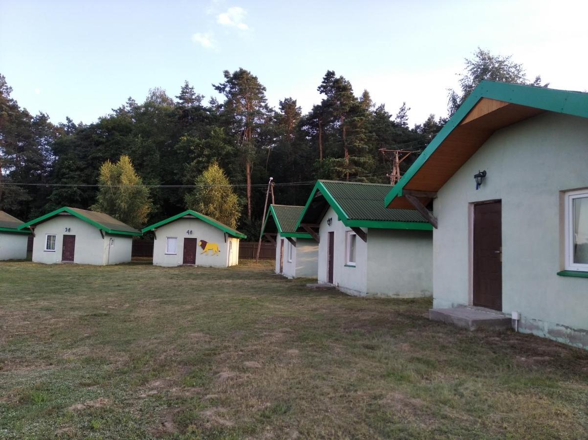 Domki Pod Lasem Płońsk Екстериор снимка