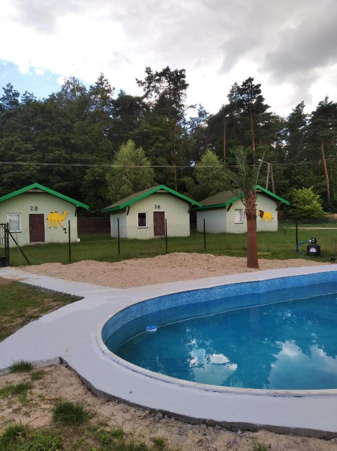 Domki Pod Lasem Płońsk Екстериор снимка